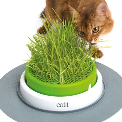 Catit Senses 2.0 Graspflanzer