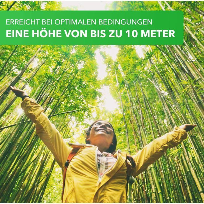 MOSO aprox. 60 semillas/Phyllostachys pubescens/