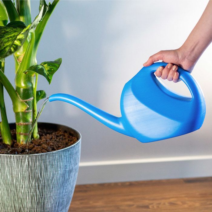 KADAX Kleine Gießkanne 2L, Kunststoff-Gartengießkanne, Blumensprenger mit langem Ausguss für den Innen- und Außenbereich, Zuhause (Blau)