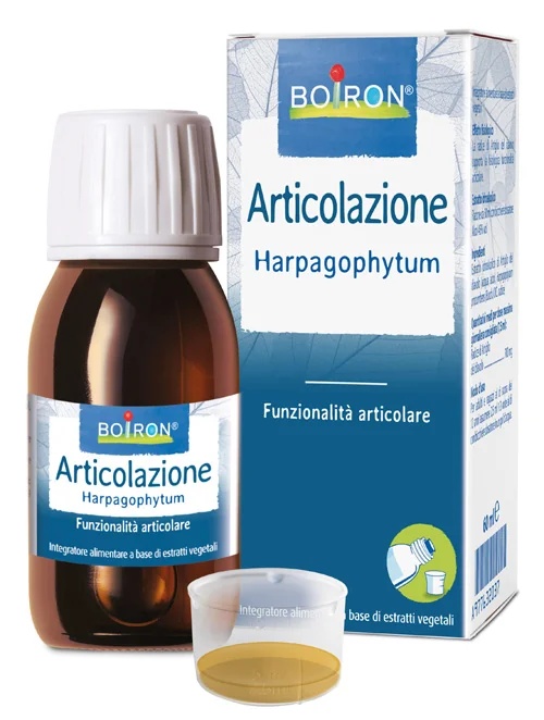 BOIRON Harpagophytum Boi Ei 60 ml Int