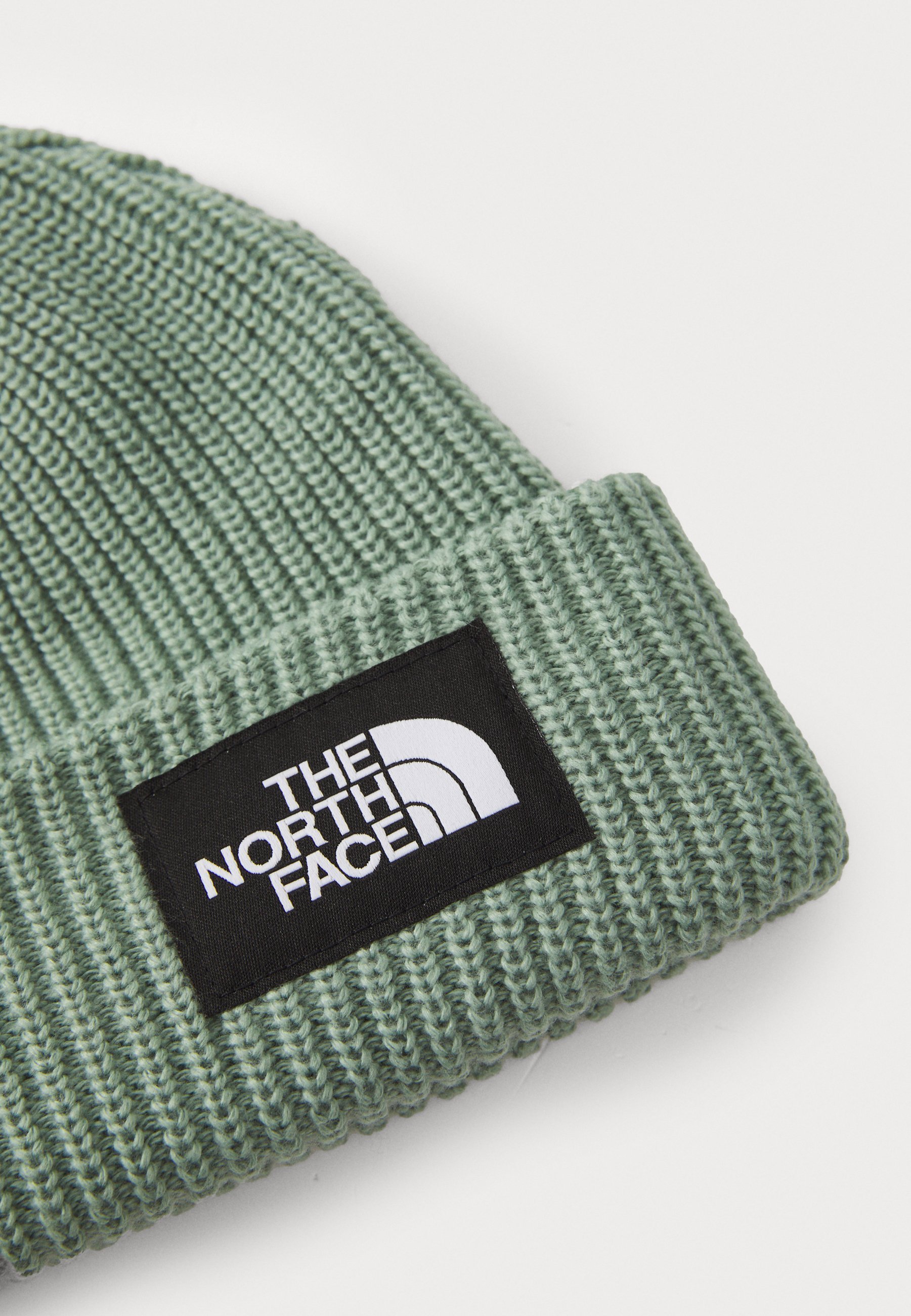 The North Face SALTY LINED BEANIE - Muts - leisteenmos
