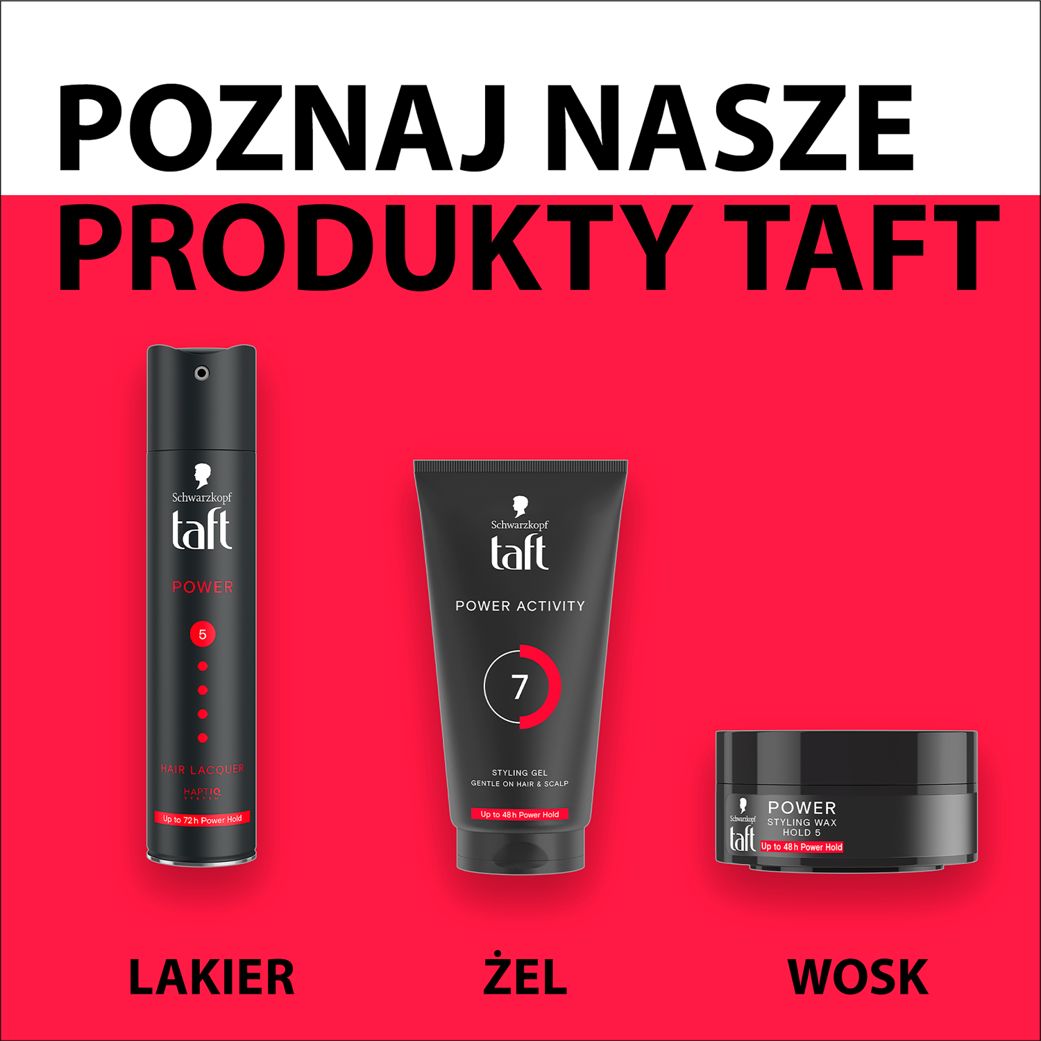 Taft Power veikla