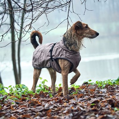 HUNTER Uppsala Hundejakke