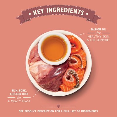 Βιολογικό Δείπνο με Ψάρι Lily's Kitchen για Γάτες