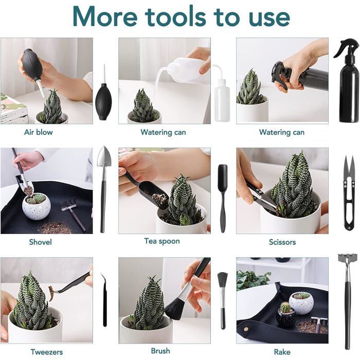 Kit di attrezzi per bonsai, mini attrezzi da giardinaggio per piante da interno, set di 13 pezzi in acciaio al carbonio con borsa per il trasporto.