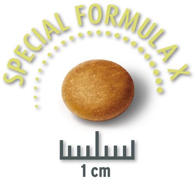 Concepto para la vida Mini Sensitive