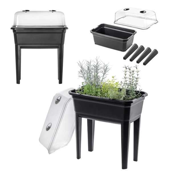 Kadax Mini Szklarnia Stojąca Duża Rozsadnik 60cm