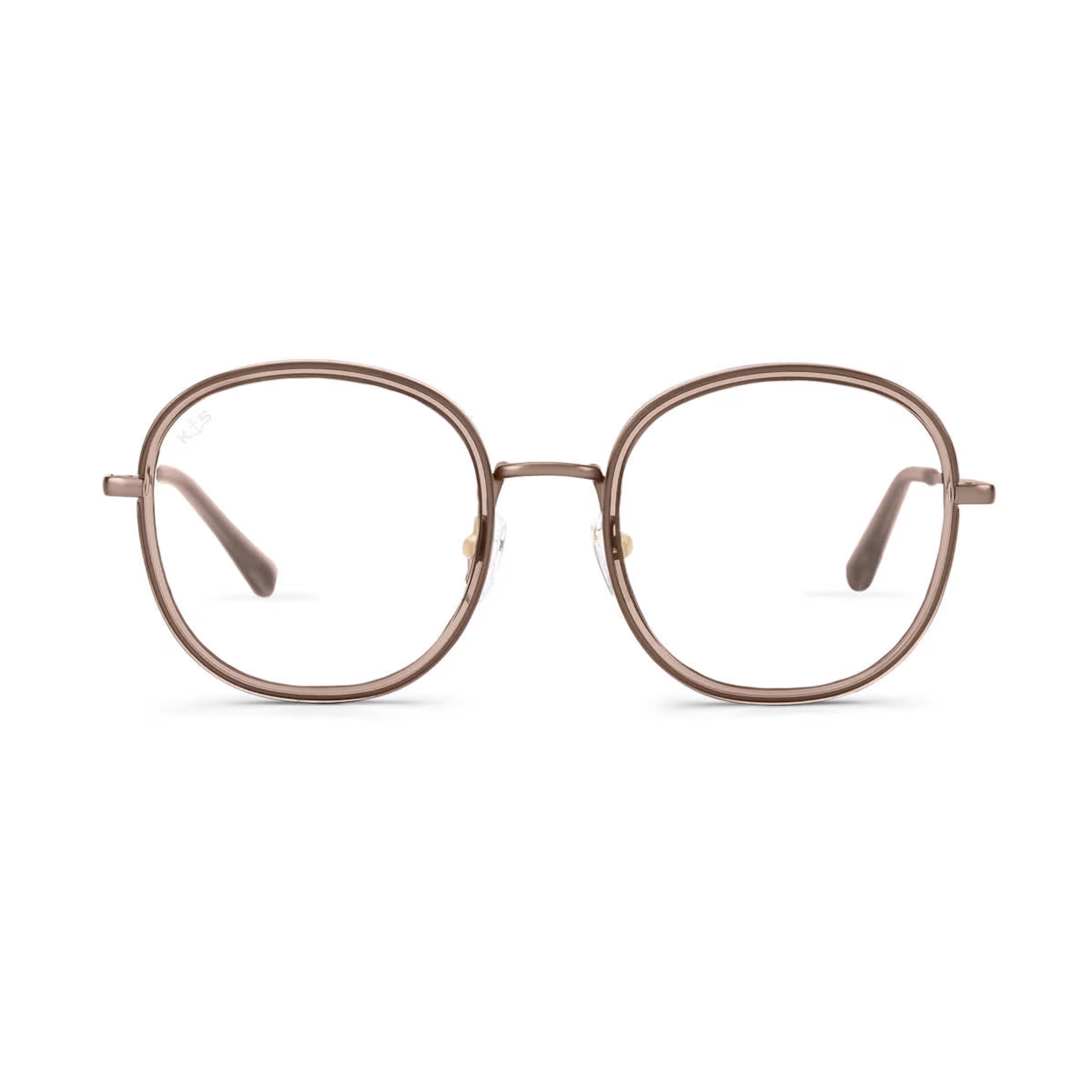 Grand noisetier transparent d'Amsterdam