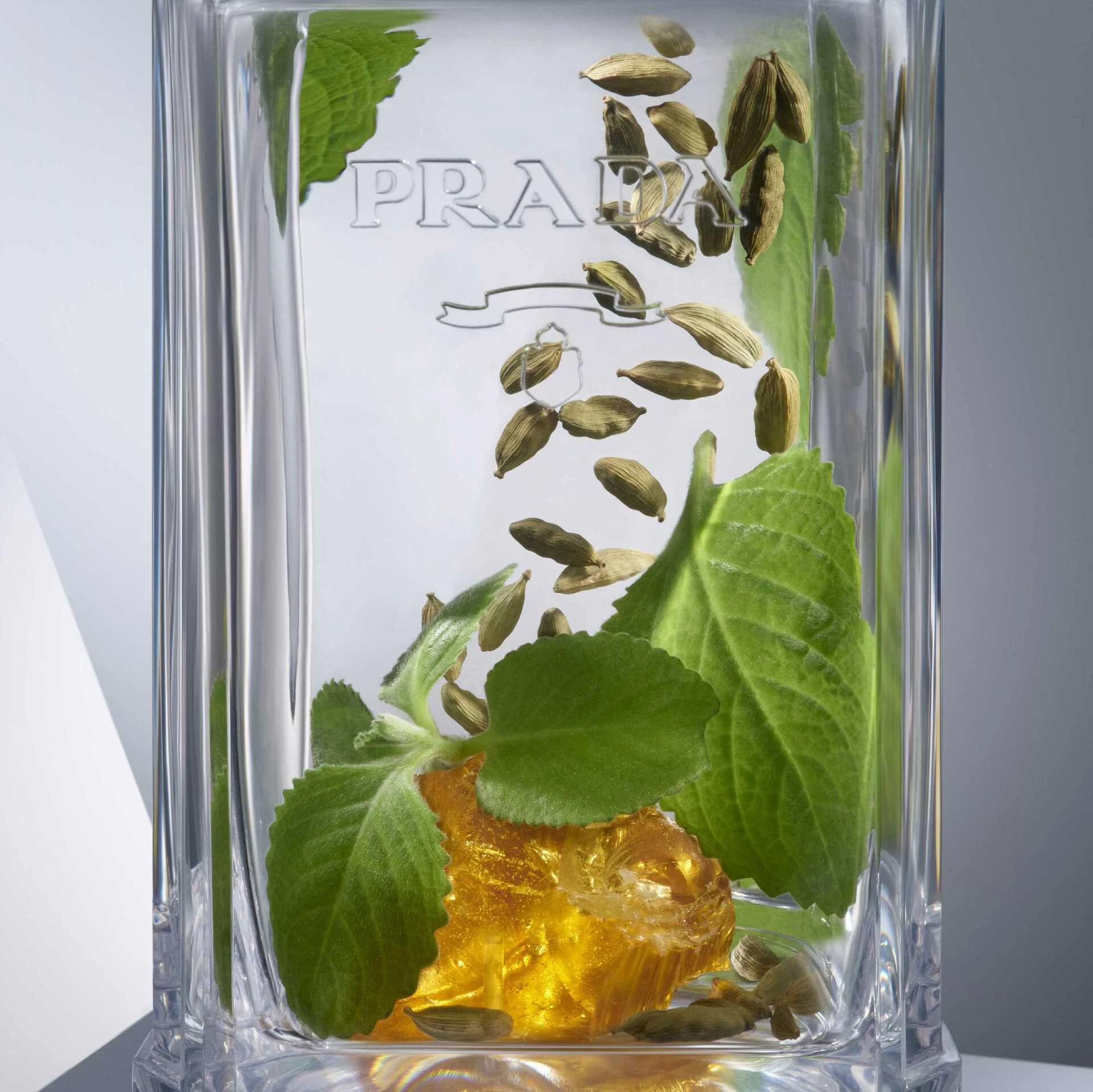 L'Homme Intense EdP 100 ml - Prada
