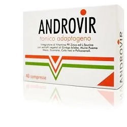 Groupe FARMA Androvir Ton 40 comprimés
