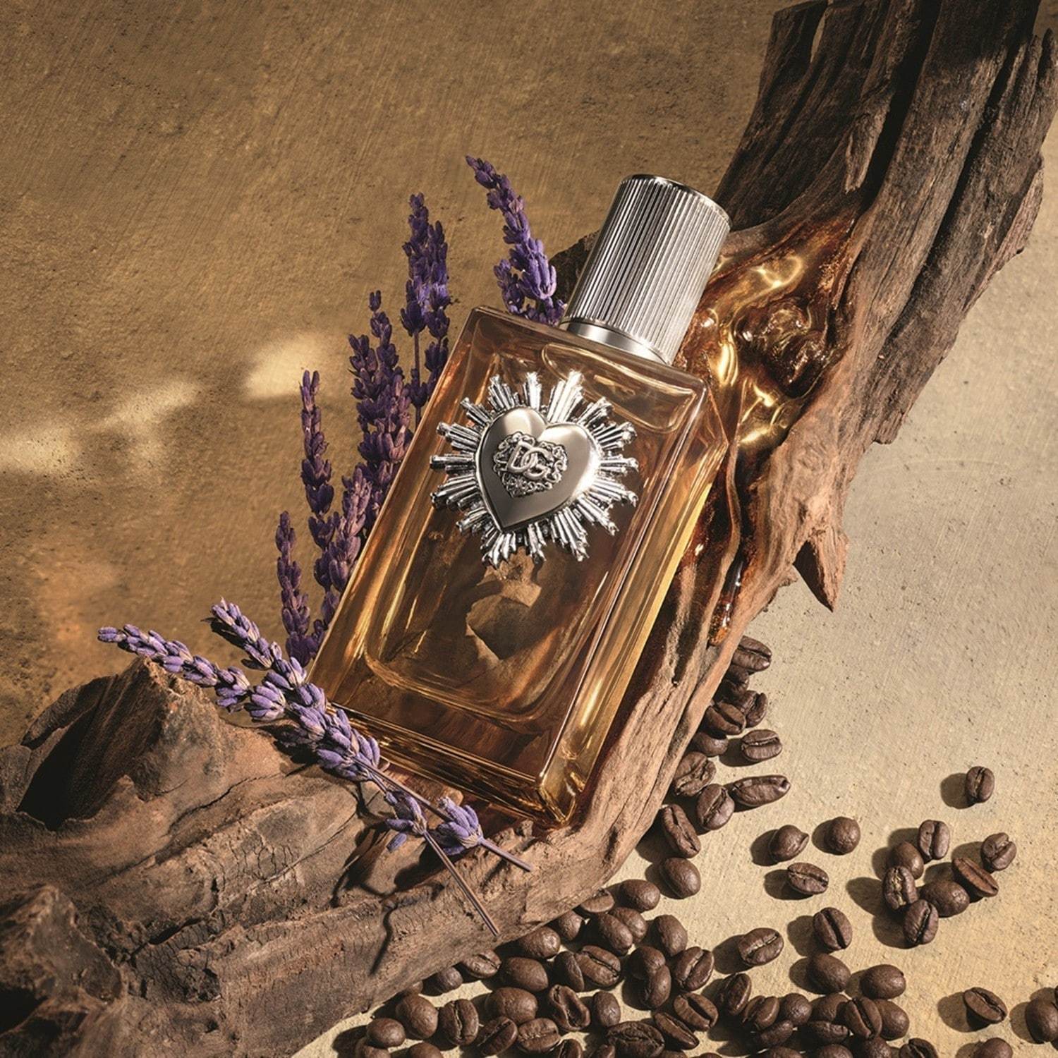 Muški parfem Dolce&Gabbana Devotion - 50 ml
