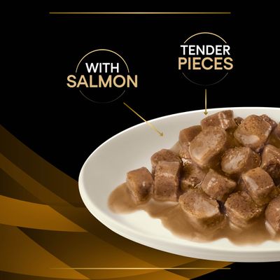 PURINA PRO PLAN Veterinärdiäten Katzen NF Nierenfunktion - Lachs
