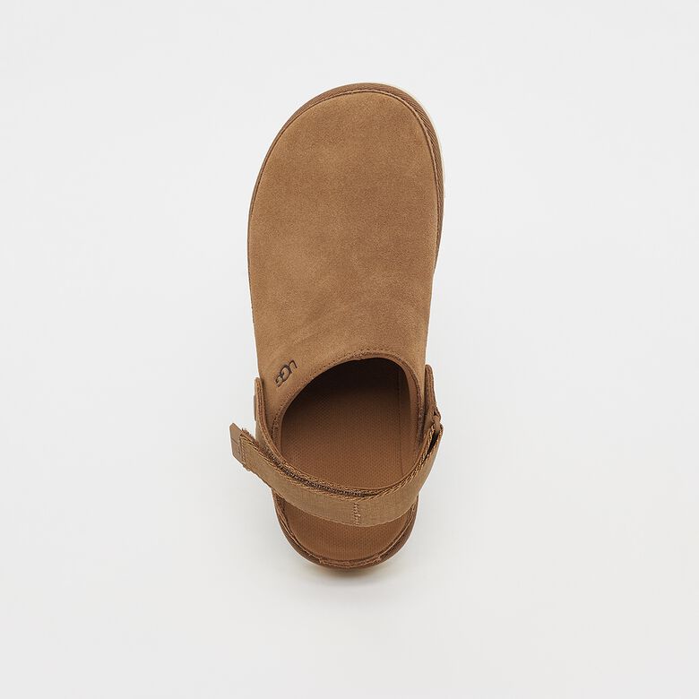 Goldenstar Clog