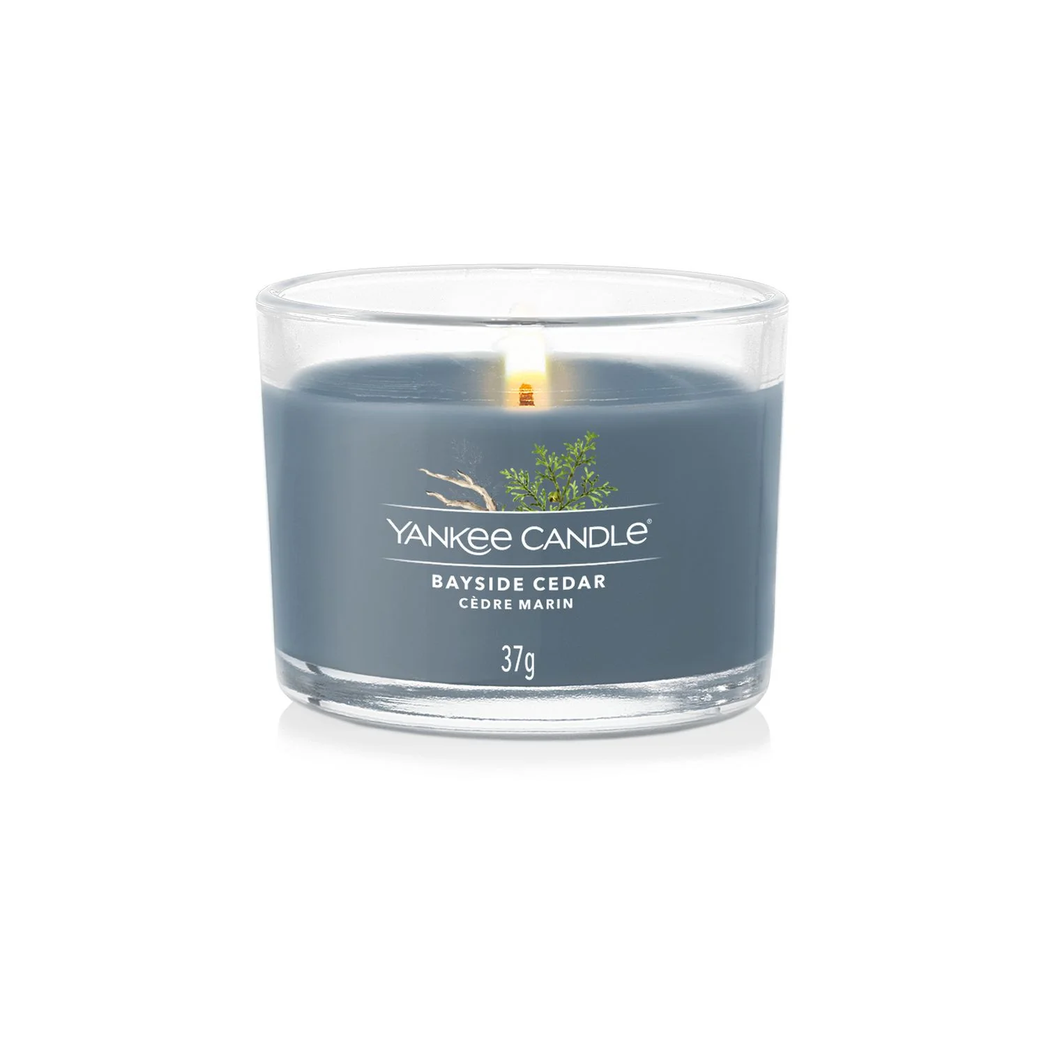Filled Votive Candles Bayside Cedar - Candela Profumata