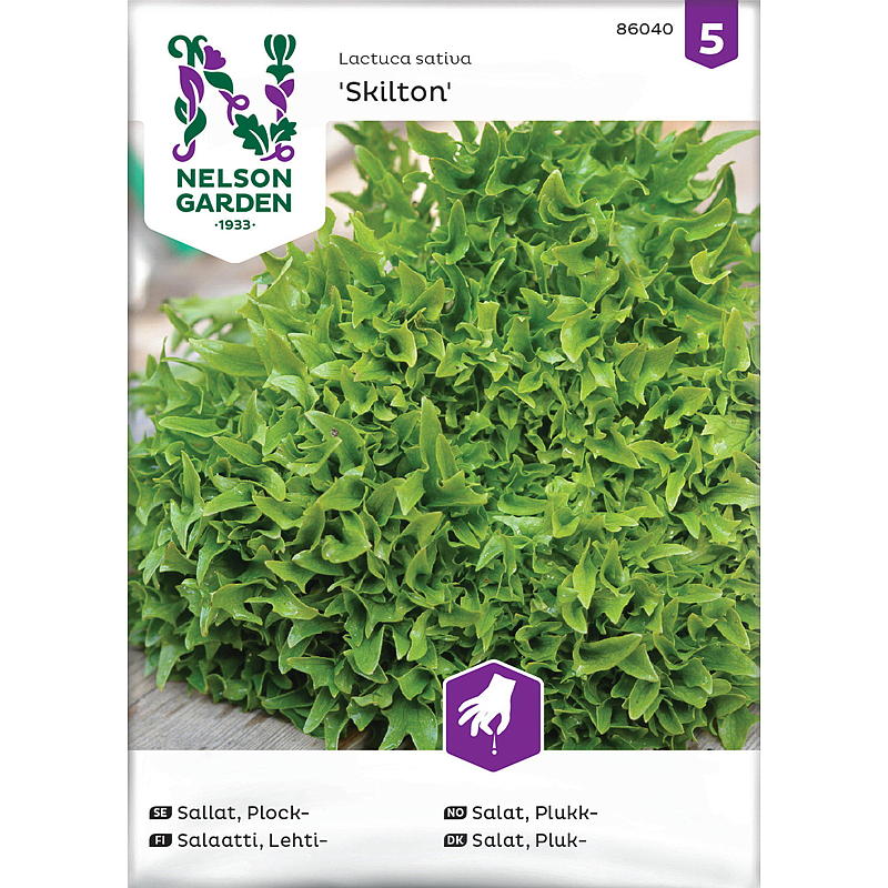 Cueillette de laitues Nelson Garden Seeds, Skilton