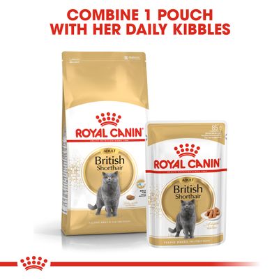 Royal Canin Britisch Kurzhaar Adult in Gravy