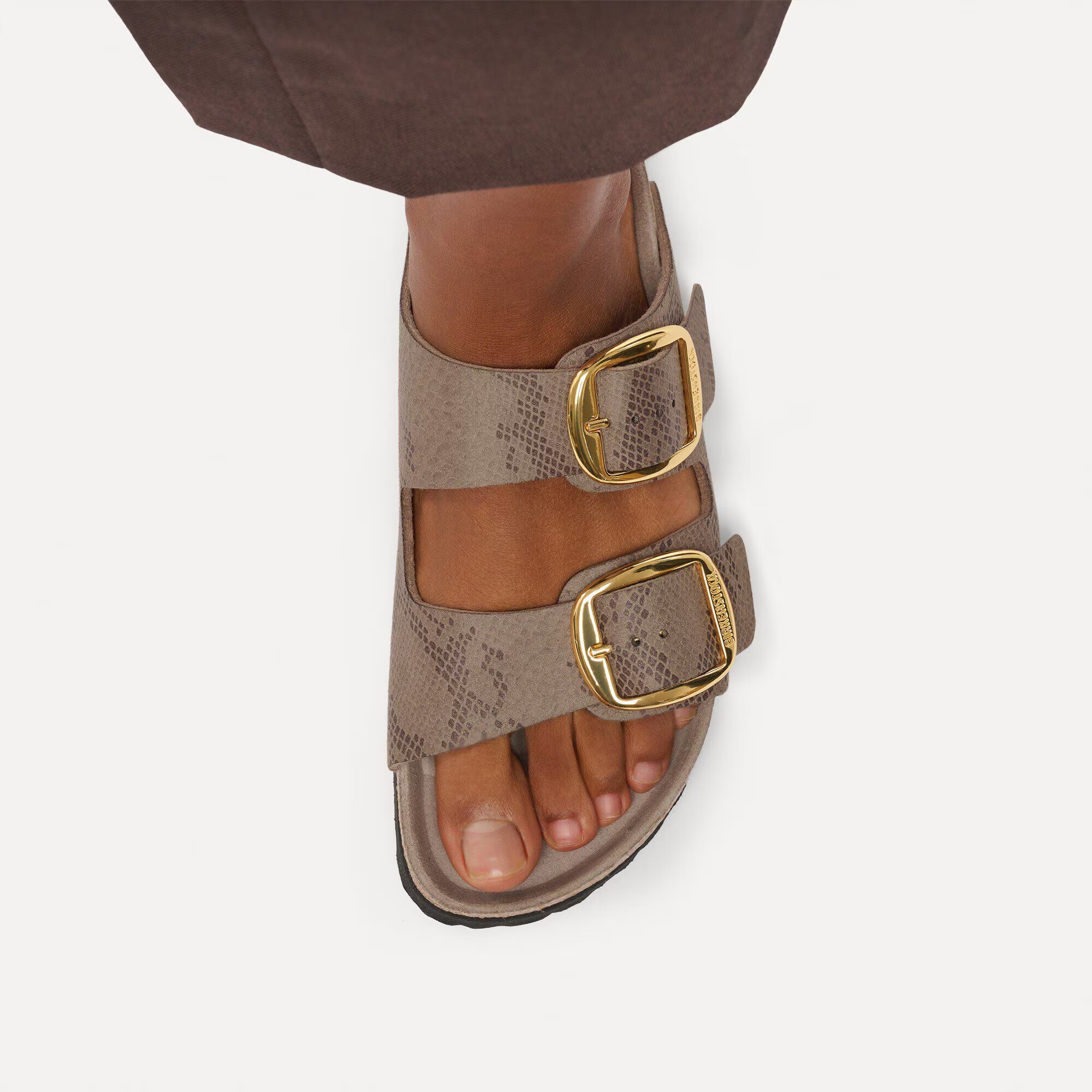 Arizona Big Buckle