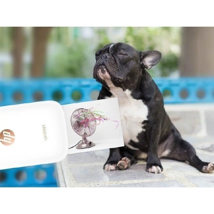 Stampante fotografica tascabile HP Sprocket - Bianca - Stampa istantanea