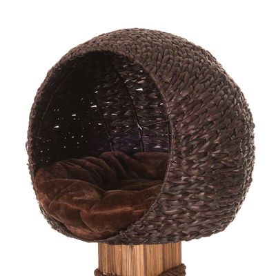 Katzenbaum aus verkohltem Holz