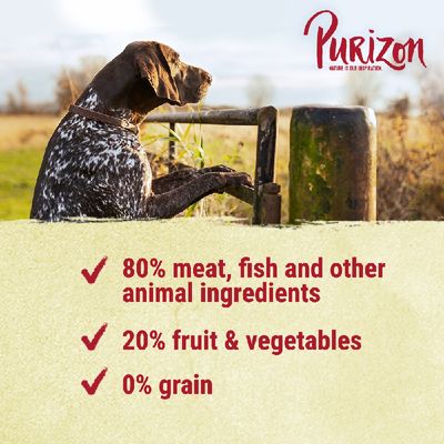 Purizon Adult Large Breed Dog – kuře a ryby bez obilovin