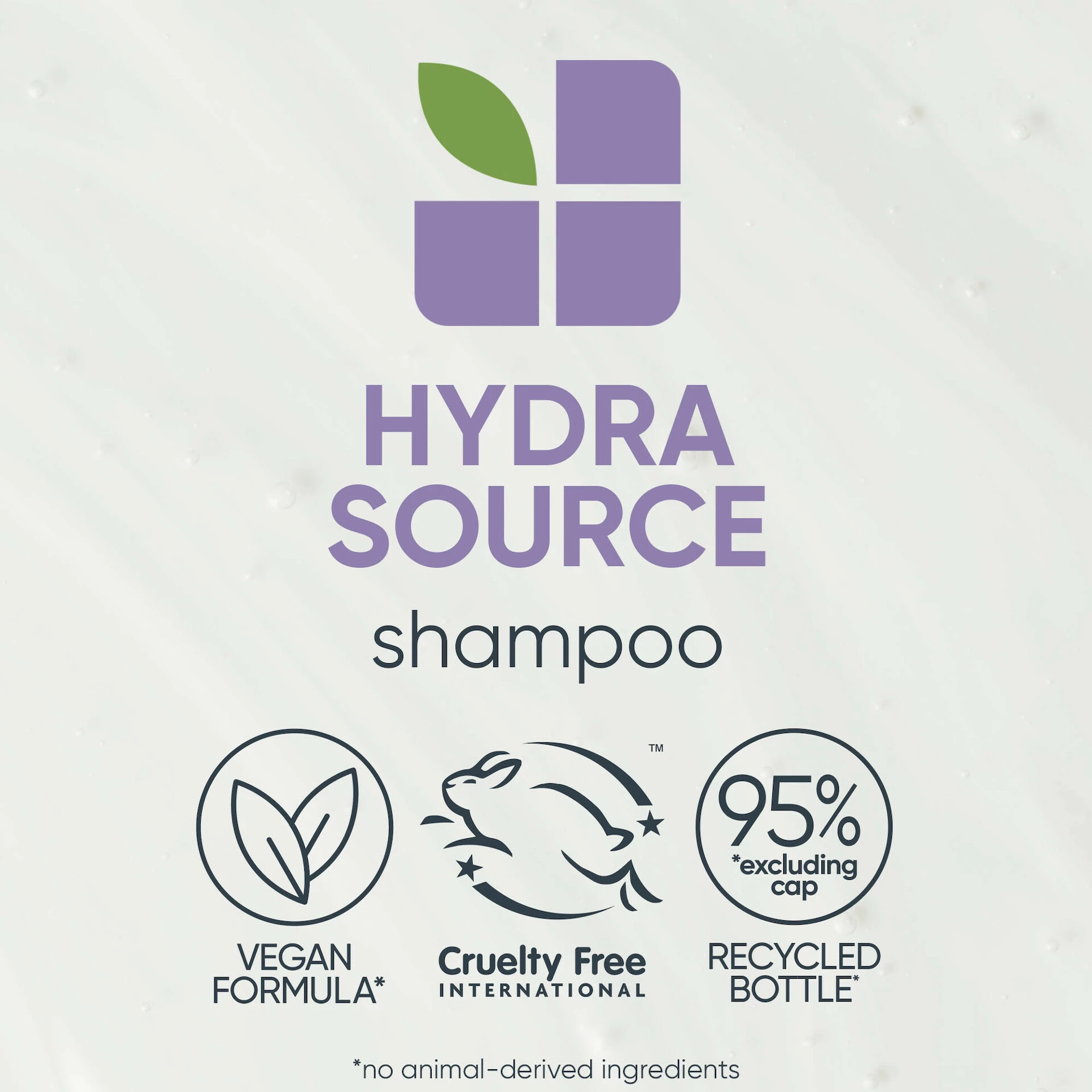 HydraSource šampon 250 ml - Biolage