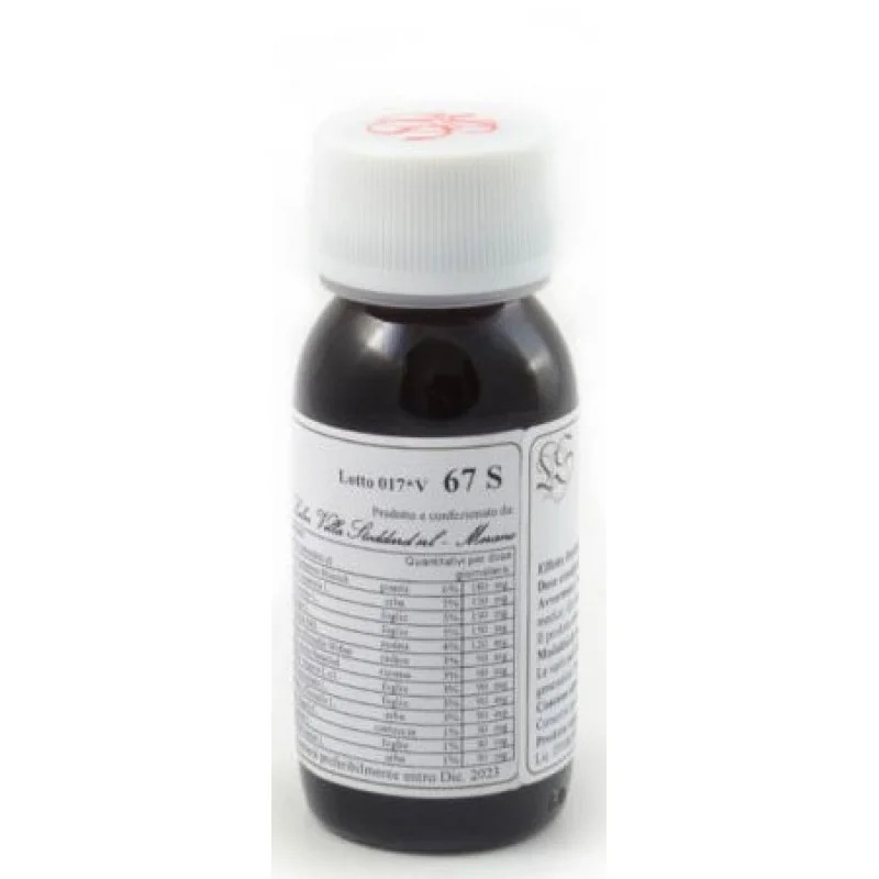 LVS Lvs Echinacea Purpurea Compositum-supplement 60 ml
