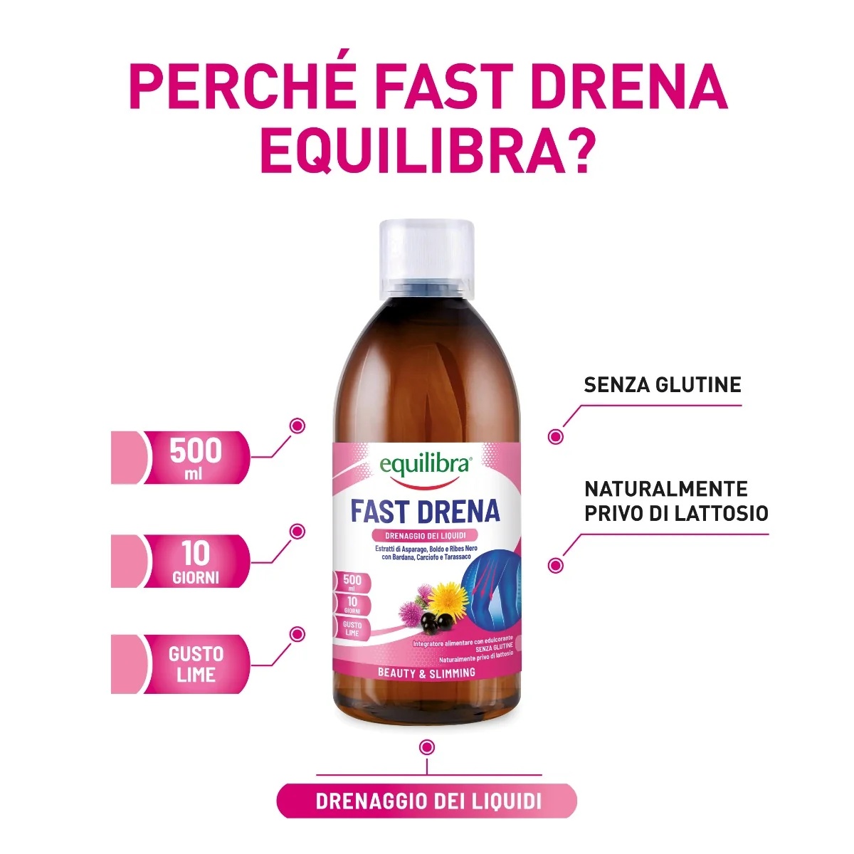 EQUILIBRA Equilibra Fast Drena Lime 500 ml Drainage supplement