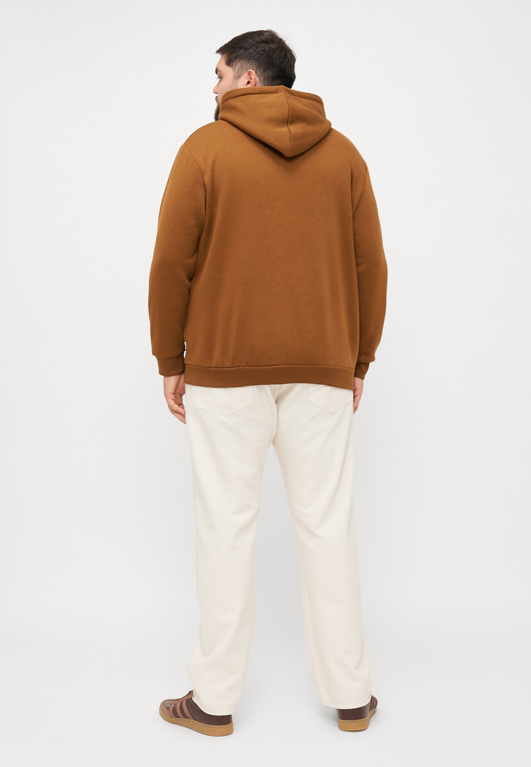 Jack & Jones JJEBRADLEY HOOD - Sweatshirt - monnikspij