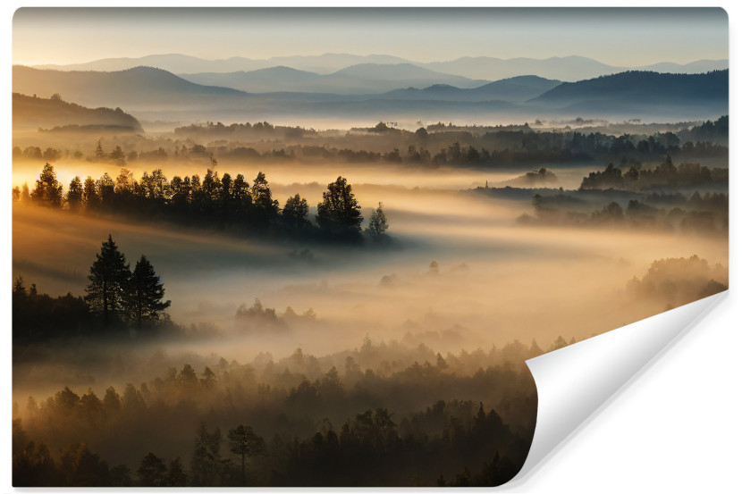 Fototapeta Do Salonu LAS WE MGLE Pejzaż 3D 90x60cm