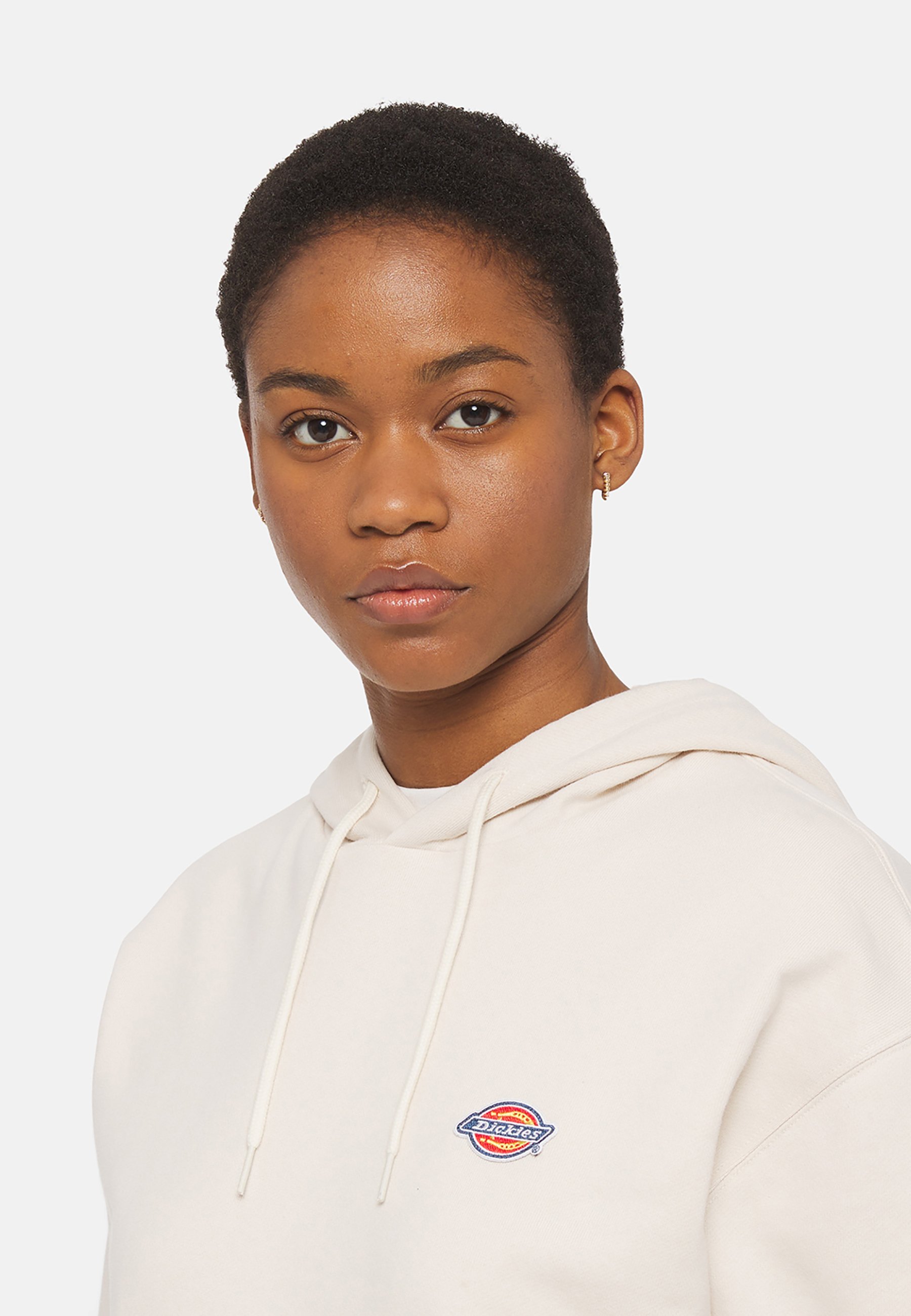 Dickies MILLERSBURG HOODIE - Sweatshirt - beige