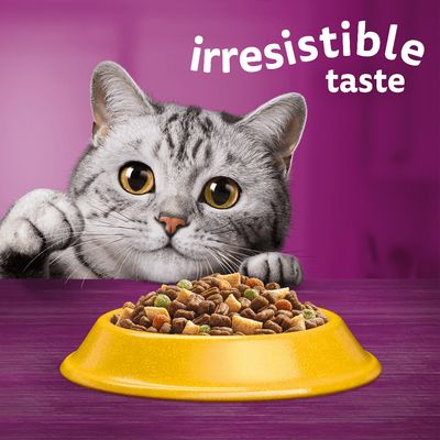Whiskas 1+ Κοτόπουλο