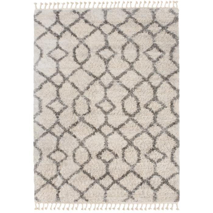 TAPISO Tapis Salon Poils Longs VERSAY Gris Crème Berbère Polypropylène Intérieur 160x220 cm