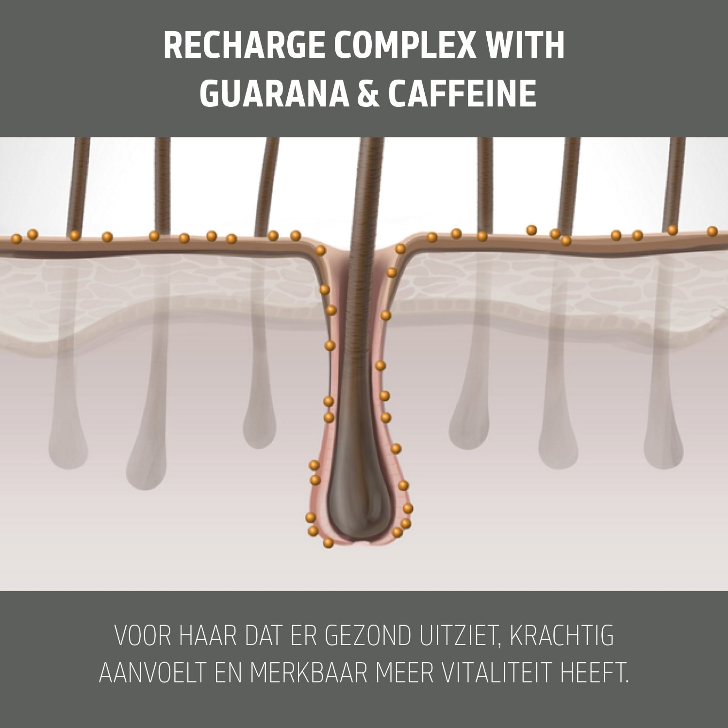 Goldwell Dualsenses Τονωτική Λοσιόν Μαλλιών για Άνδρες – Τονωτική Λοσιόν Ενεργοποίησης Τριχωτού της Κεφαλής – 150 ml