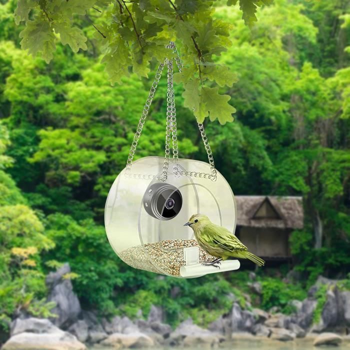 Comedero inteligente para pájaros con cámara - OMABETA - Visión nocturna - Exterior - Aves silvestres