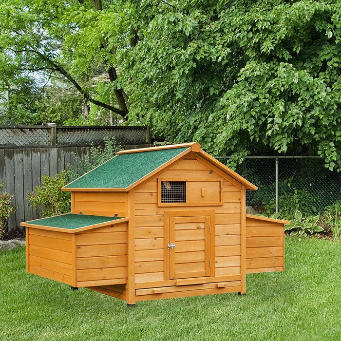 Poulailler - PawHut - pour 4 poules - pondoir, toit imperméable ouvrable, tiroir amovible - bois de sapin - 150x100x96,5cm - jaune