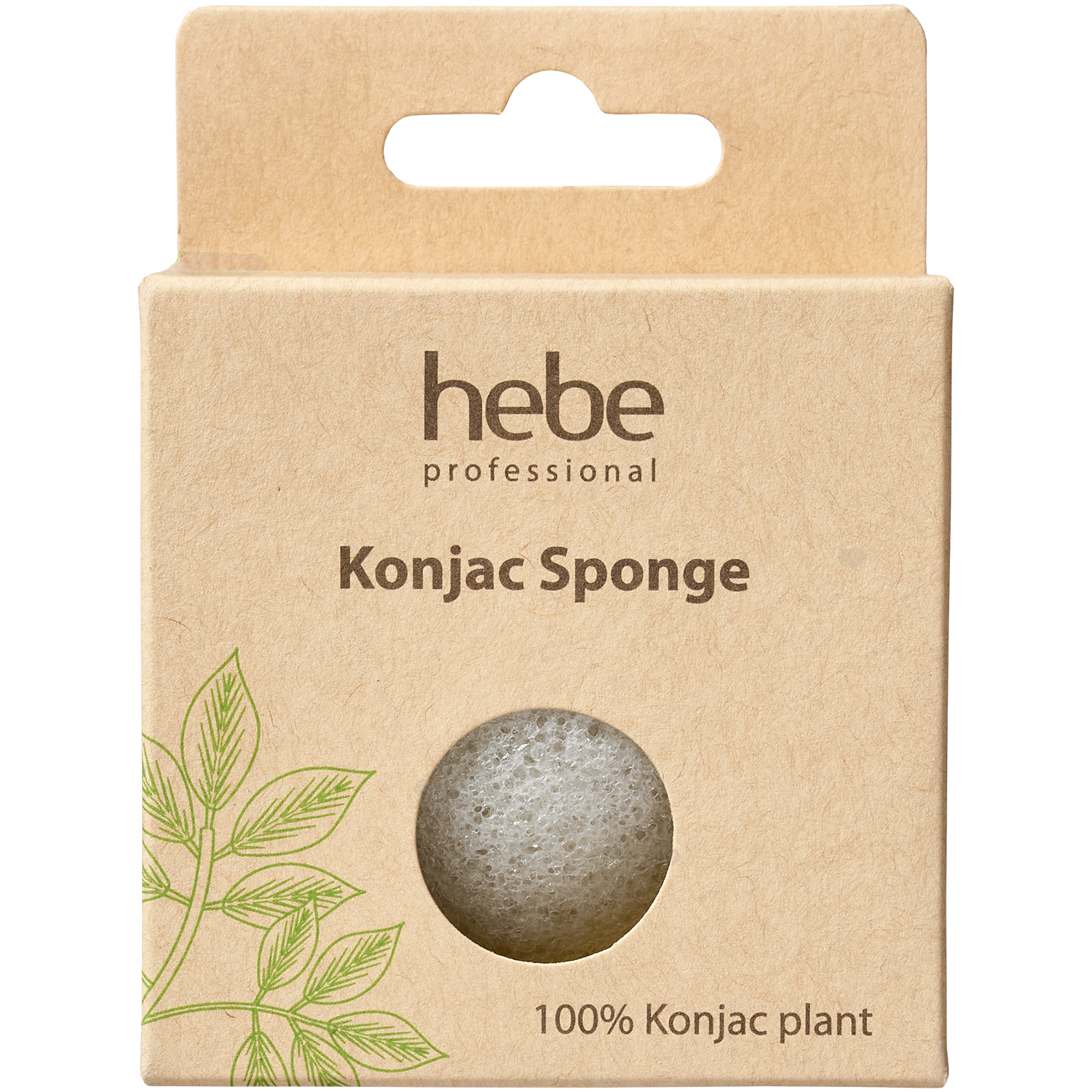 Hebe Professional Konjac -sieni