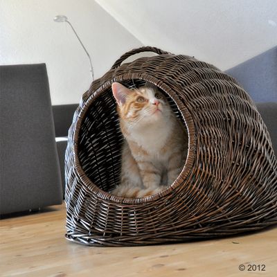 Aumüller Wicker Den XXL