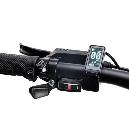  VTT électrique E-mtb 29