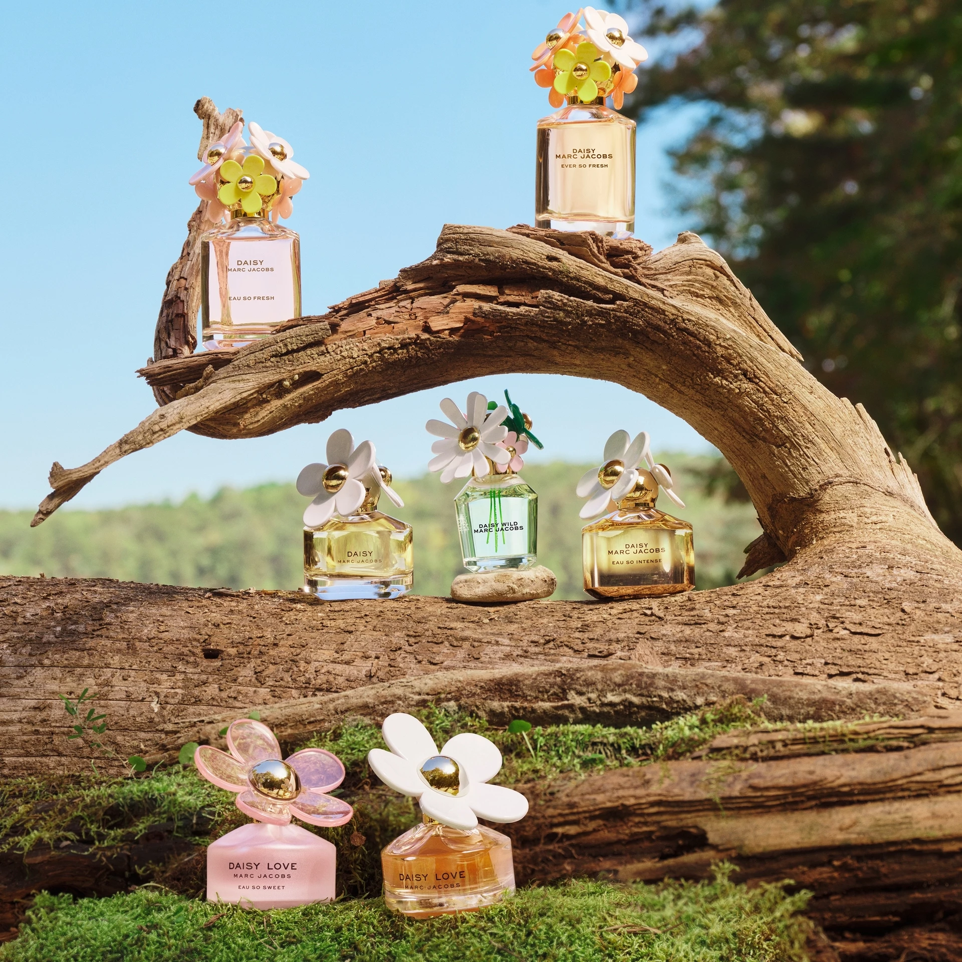 Daisy Wild toaletna voda 50 ml - Marc Jacobs