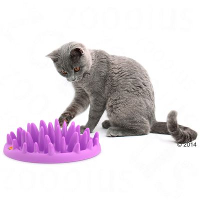 NORTHMATE ® Catch Feeder