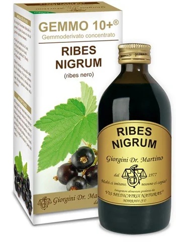 DR. GIORGINI Dr. Giorgini Gemmo 10+ Zwarte bes alcoholvrije vloeistof 200 ml Geschikt voor veganisten