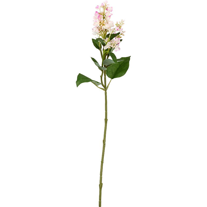 Hjem Syrinstilk 53 cm