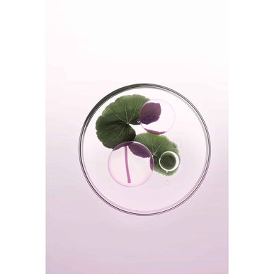 Kérastase Chroma Absolu Bain Riche Chroma Respect kosteuttava shampoo paksuille, värjätyille hiuksille 250 ml
