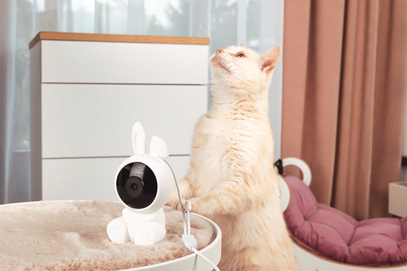 Câmera residencial inteligente Wi-Fi innoGIO GIO Safety Rabbit