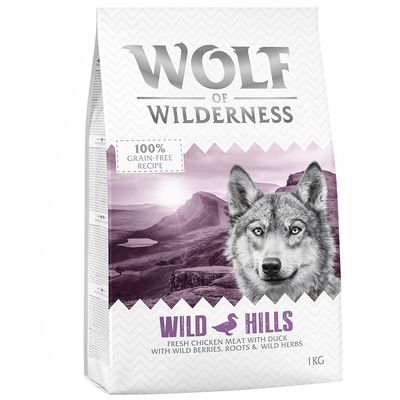 Wolf der Wildnis, ausgewachsen, 