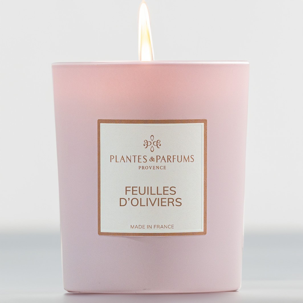 Plantes & Parfums Feuilles d'Oliviers