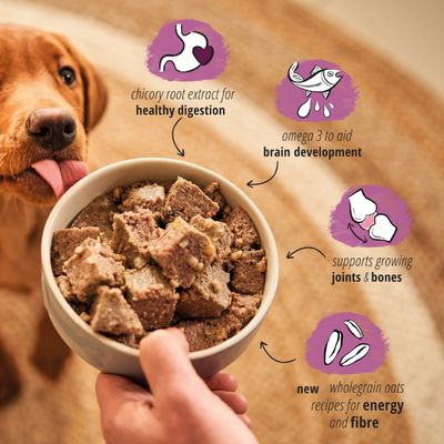 Alimento completo per cuccioli Forthglade con cereali integrali - Anatra e Pollo