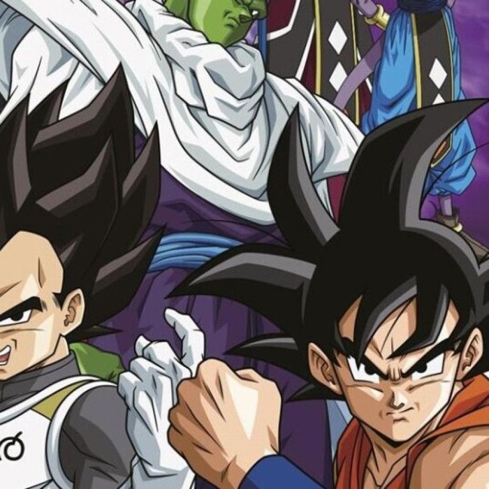 Plaid polaire - DRAGON BALL Z - 100 x 140 cm - Multicolore - Lavable en machine - Microfibre