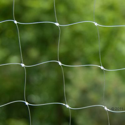 Veiligheidsnet voor katten - Transparant