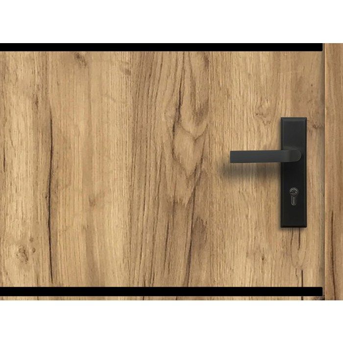 Porte d'entrée en acier pleine et inox H207 x L100 cm effet chêne - épaisseur 55 mm - poussant gauche - NAXARA